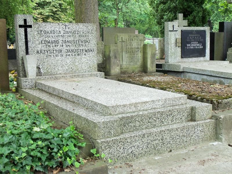 Zdjęcie grobu Edward Januszewski (1)