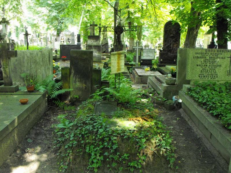 Zdjęcie grobu: Zofia Thomas