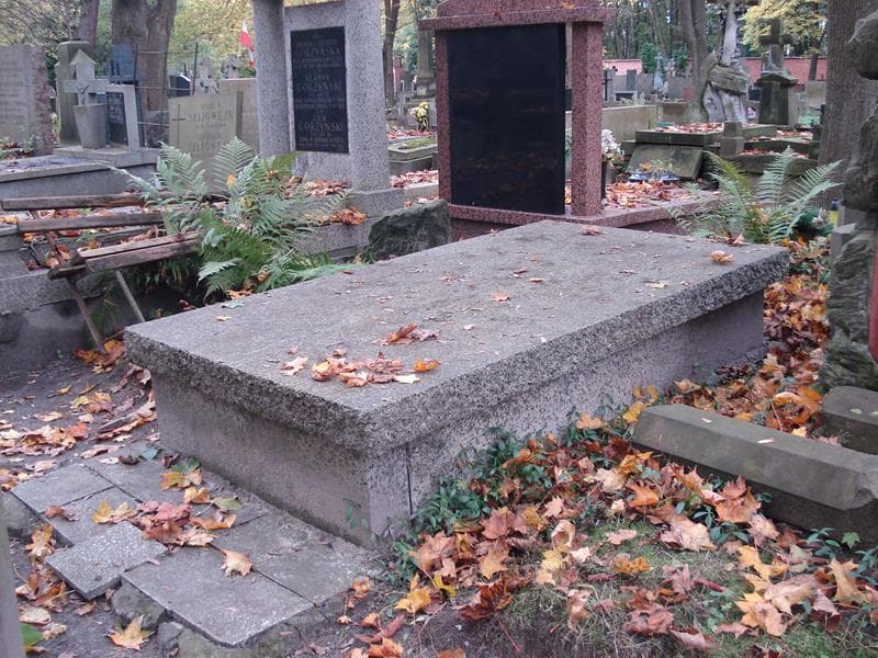Zdjęcie grobu Zofia Dąbkowska (1)