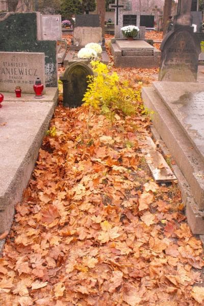Zdjęcie grobu: Zdzisio Pietrzkiewicz