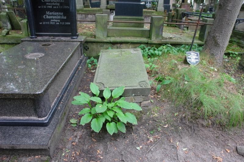 Zdjęcie grobu Mateusz Szepczyński (1)