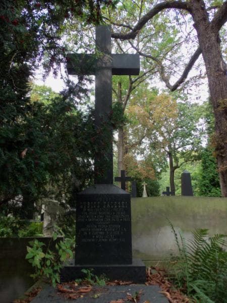 Zdjęcie grobu Józef Lubicz-Zaleski (2)