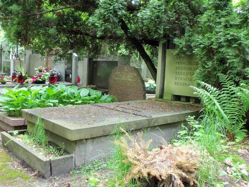 Zdjęcie grobu Franciszek Ostoja-Miklaszewski (1)