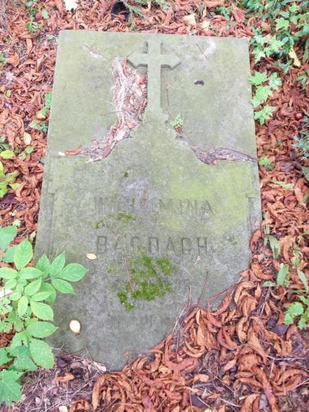 Zdjęcie grobu Wilhelmina Bagdach (1)