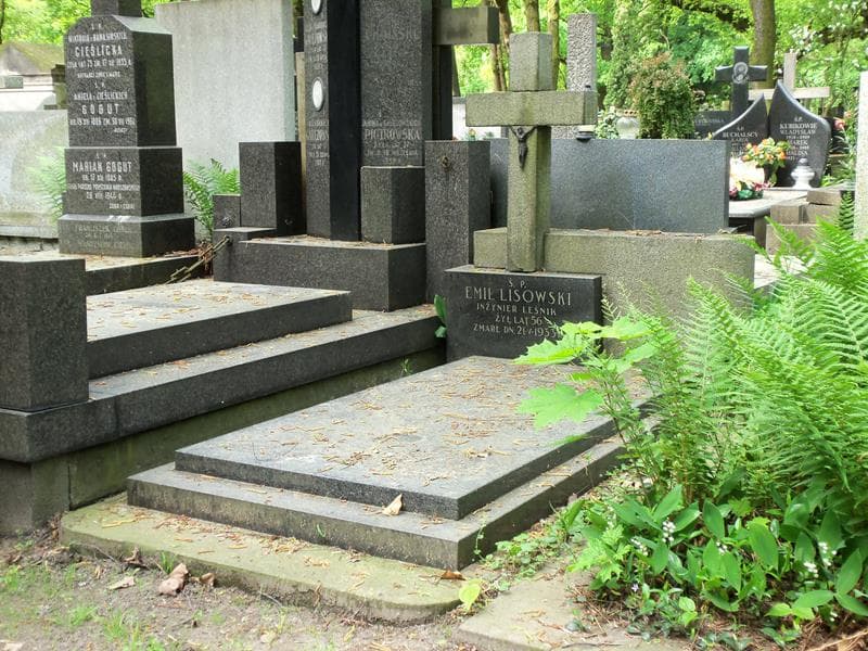 Zdjęcie grobu Emil Lisowski (1)
