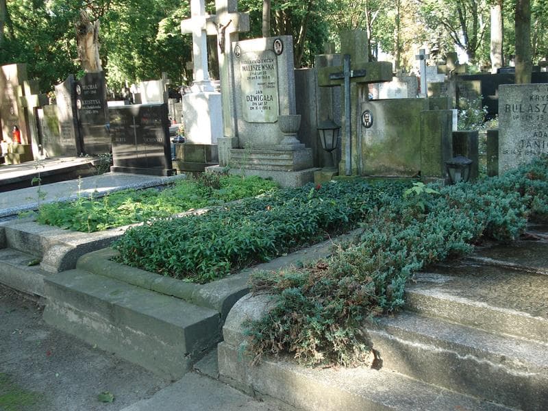 Zdjęcie grobu Zenon Makowski (1)