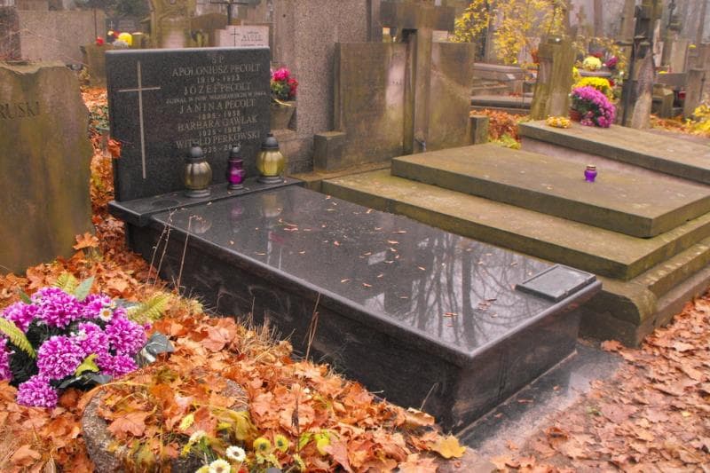 Zdjęcie grobu Witold Perkowski (1)
