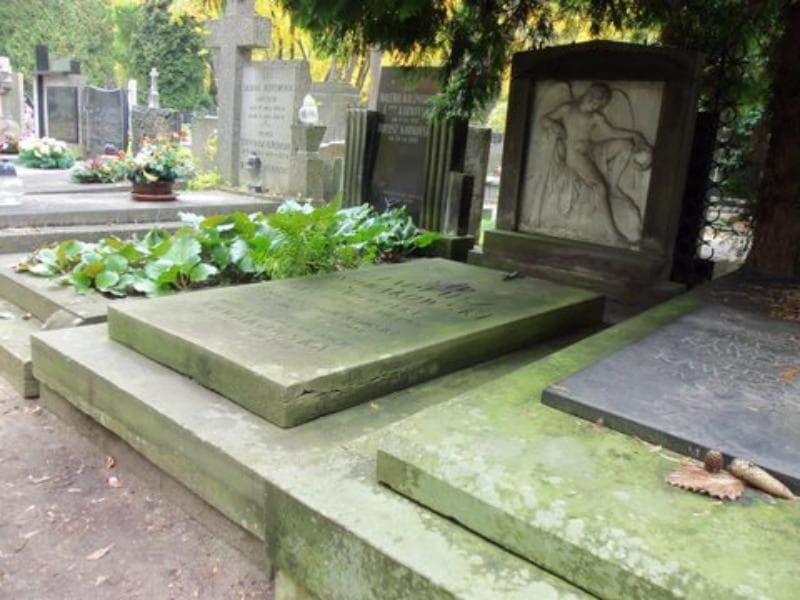 Zdjęcie grobu Maciuś Nowakowski (1)