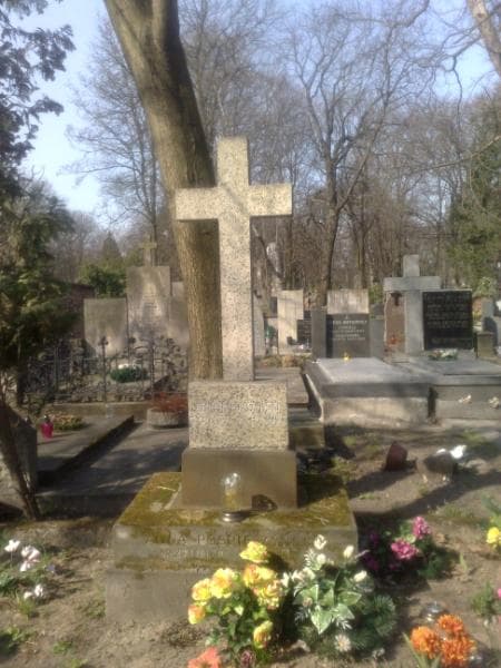 Zdjęcie grobu Henryk Fokczyński (1)