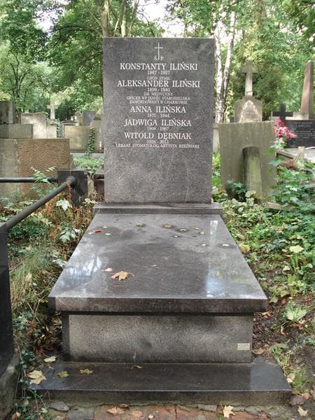 Zdjęcie grobu Witold Dębniak (1)