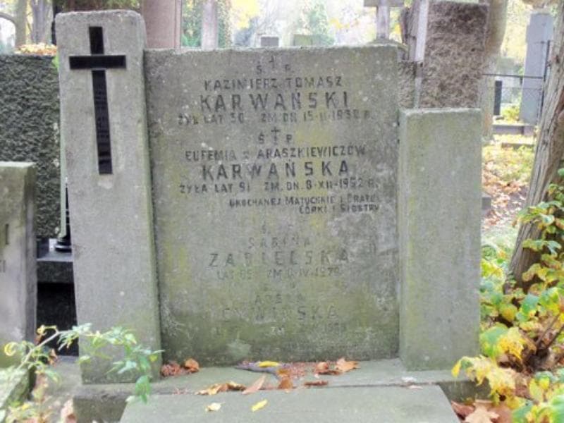 Zdjęcie grobu Adela Cywińska (2)