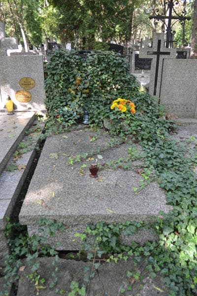 Zdjęcie grobu Stanisław Wapiński (2)