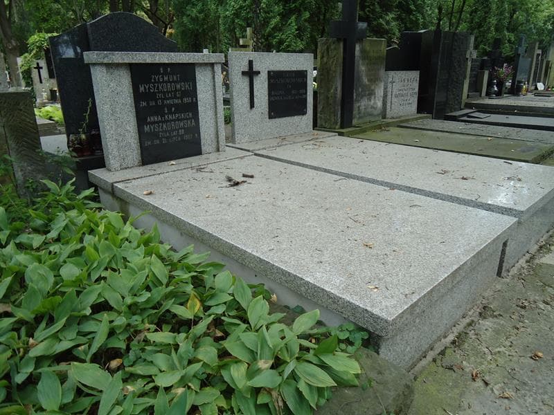 Zdjęcie grobu Zygmunt Myszkorowski (1)
