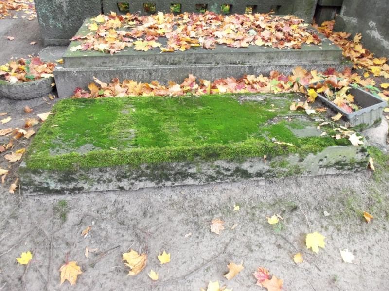 Zdjęcie grobu Domagalscy (1)