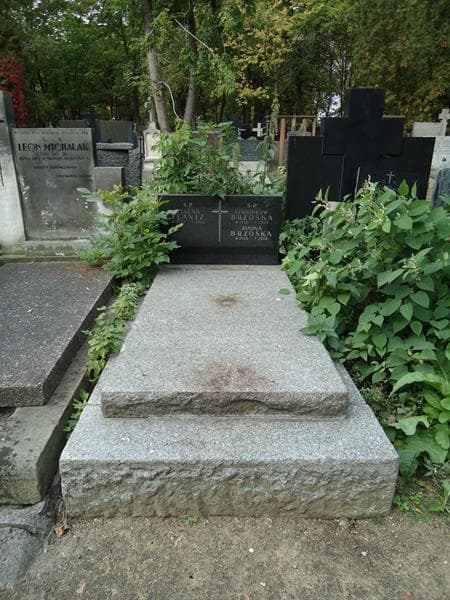 Zdjęcie grobu: Stanisław Brzóska
