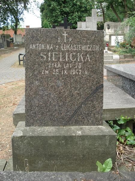Zdjęcie grobu Antonina Sielicka (2)