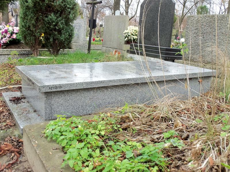 Zdjęcie grobu Roman Totenberg (2)
