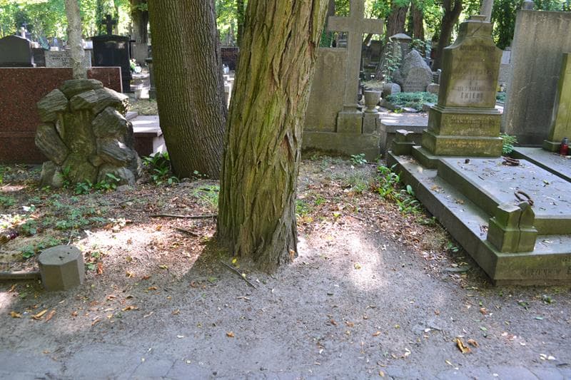 Zdjęcie grobu Józef Rybiński (1)