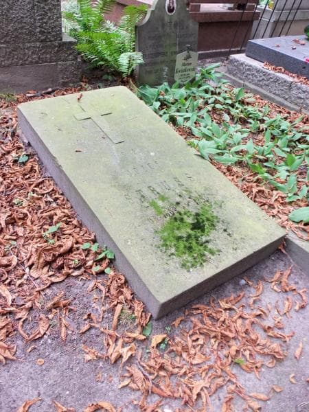 Zdjęcie grobu Józef Struss (2)