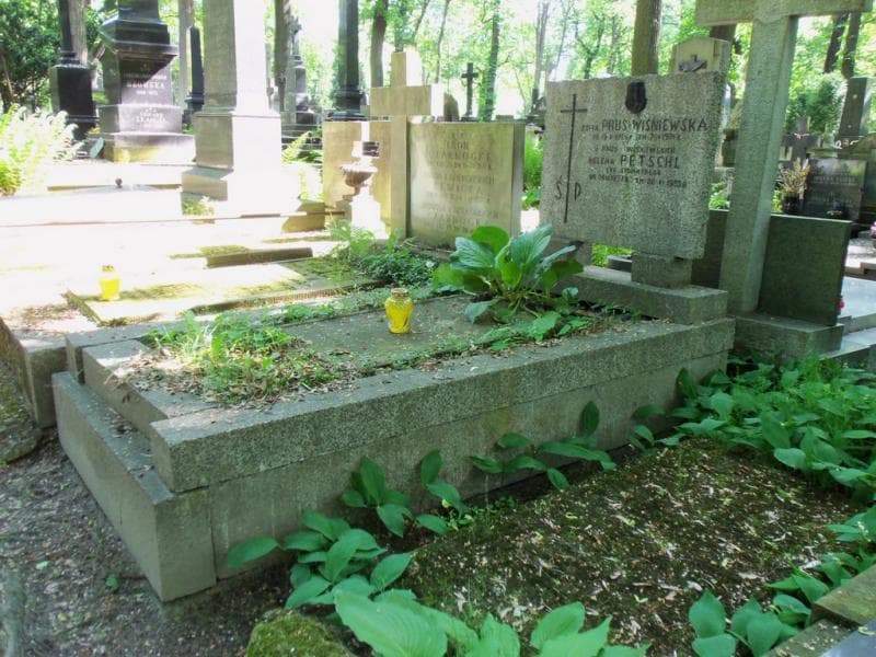 Zdjęcie grobu Teodor Polkowski (1)