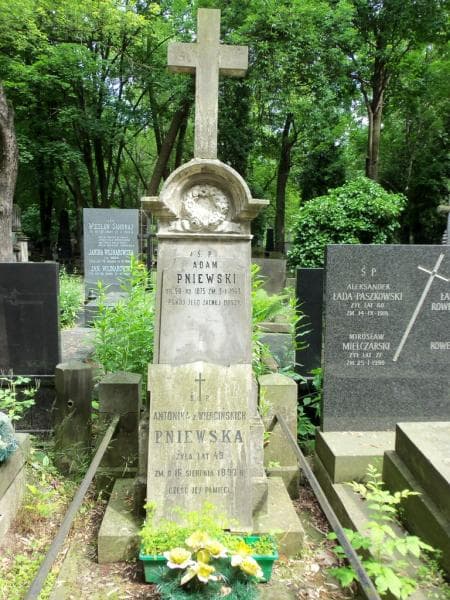 Zdjęcie grobu Adam Pniewski (2)