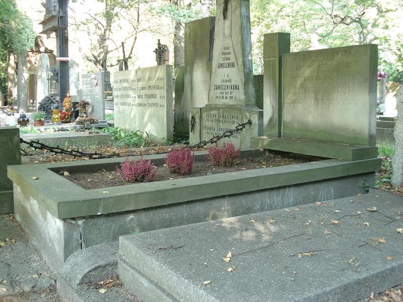 Zdjęcie grobu Witold Domański (1)