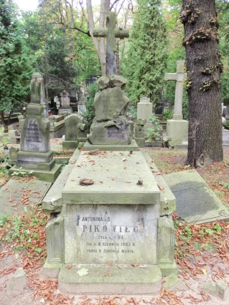 Zdjęcie grobu: Antonina Pikowiec