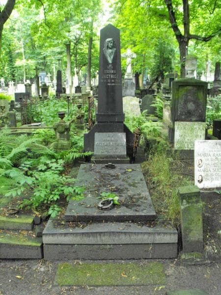 Zdjęcie grobu: Cecylja Krzemieniewska