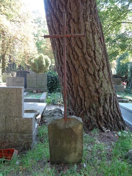 Zdjęcie grobu Marja Dąbrowska (1)