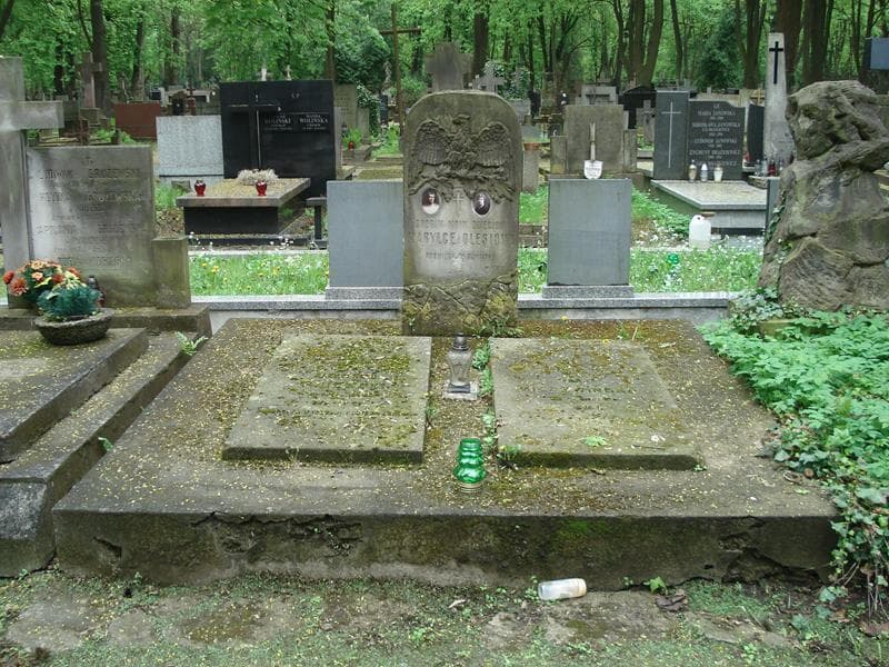 Zdjęcie grobu: Aleksander Pniewski