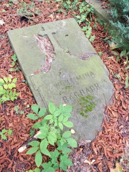 Zdjęcie grobu Wilhelmina Bagdach (2)