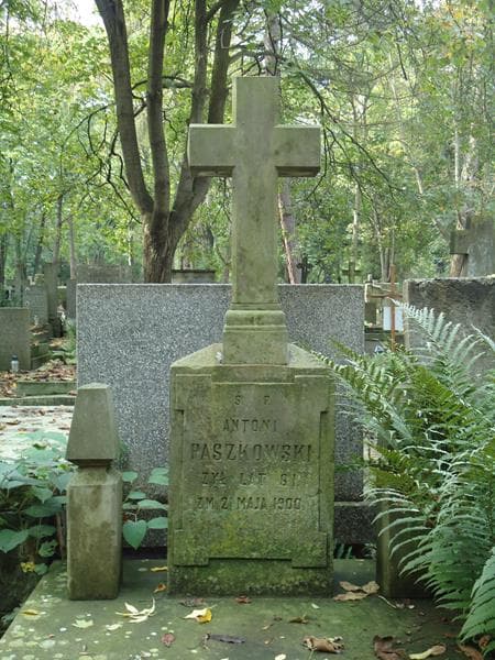 Zdjęcie grobu Antoni Paszkowski (2)