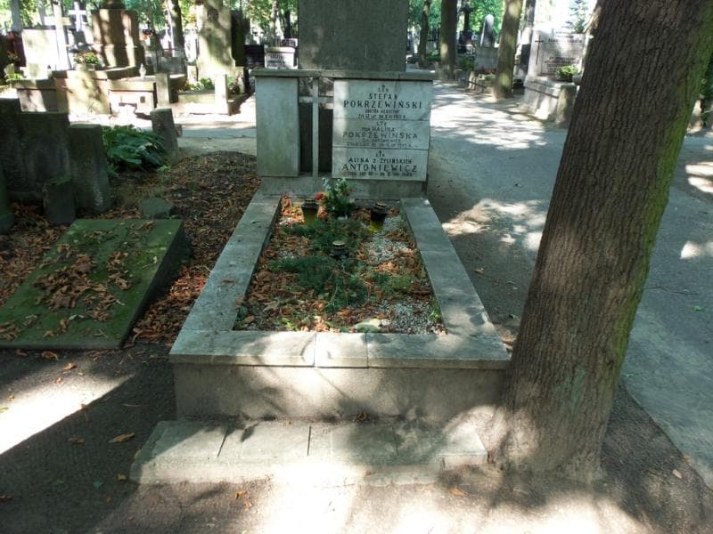 Zdjęcie grobu Stefan Pokrzewiński (1)