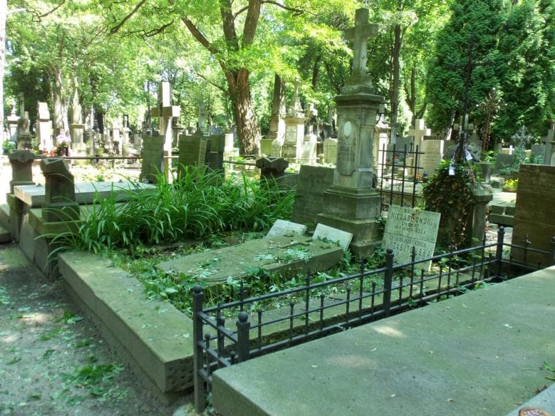 Zdjęcie grobu Wacław Niezabitowski (1)