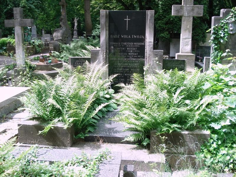 Zdjęcie grobu Izabella Olicka (1)