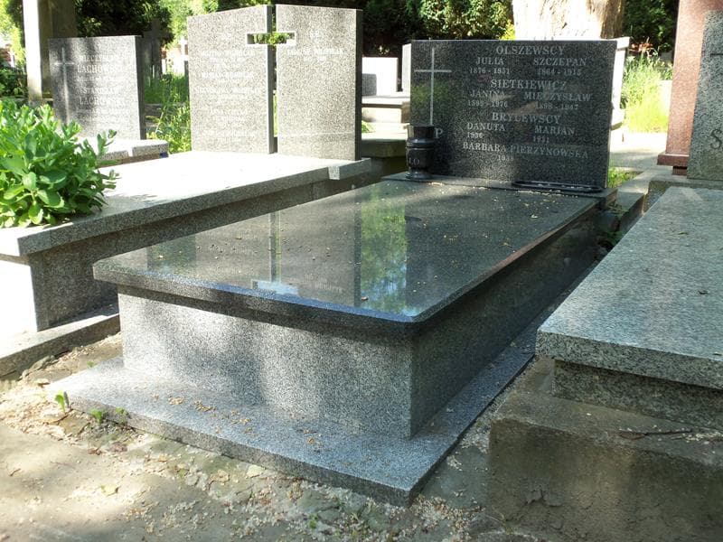 Zdjęcie grobu Brylewscy (1)