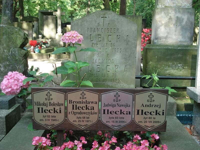 Zdjęcie grobu Franciszek Ilecki (2)