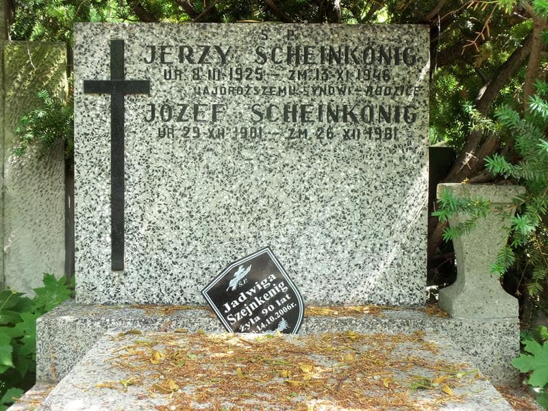 Zdjęcie grobu Jerzy Scheinkonig (2)
