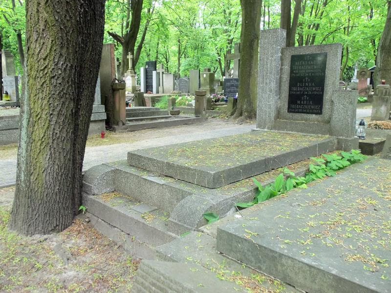 Zdjęcie grobu Oleńka Trębaczkiewicz (1)