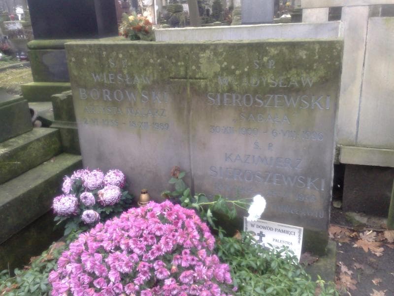 Zdjęcie grobu Wiesław Borowski (1)
