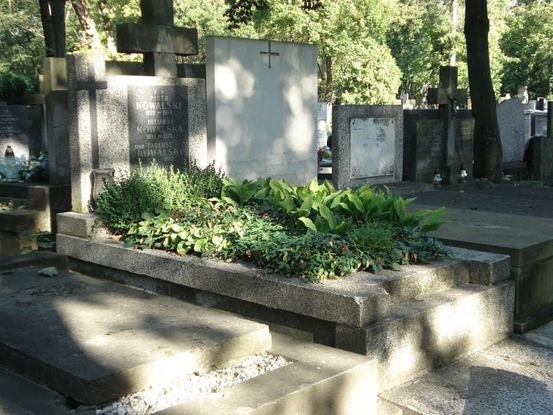 Zdjęcie grobu Leokadia Malczewska (1)
