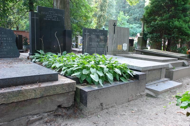 Zdjęcie grobu Janusz Piszczatowski (1)