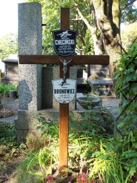 Zdjęcie grobu Władysław Chęciński (2)