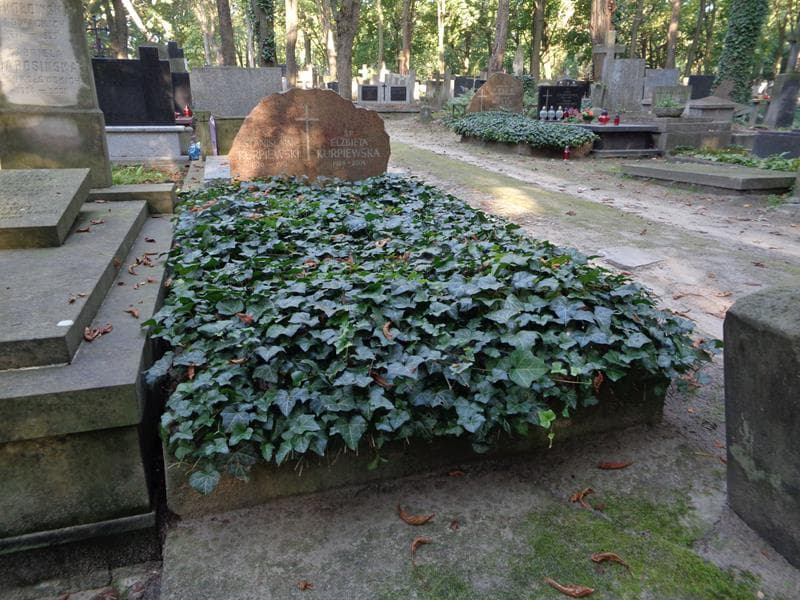 Zdjęcie grobu Elżbieta Kurpiewska (1)