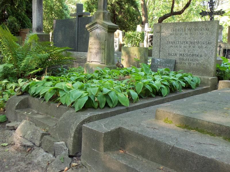 Zdjęcie grobu Franciszek Masiorski (1)
