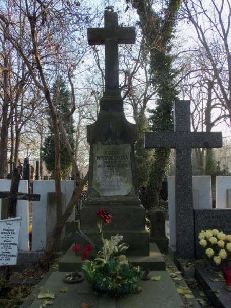Zdjęcie grobu Tecia Wyganowska (2)