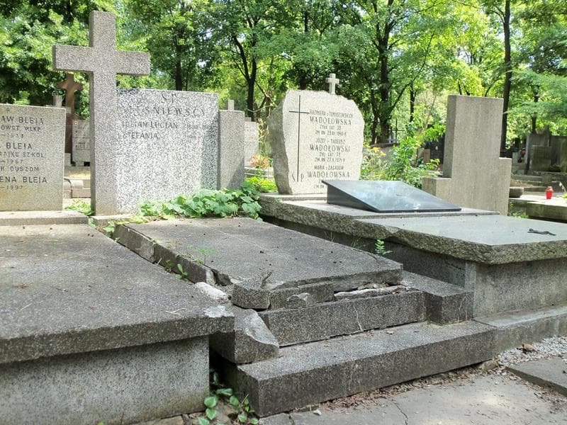 Zdjęcie grobu Julian Lucjan Leśniewski (1)