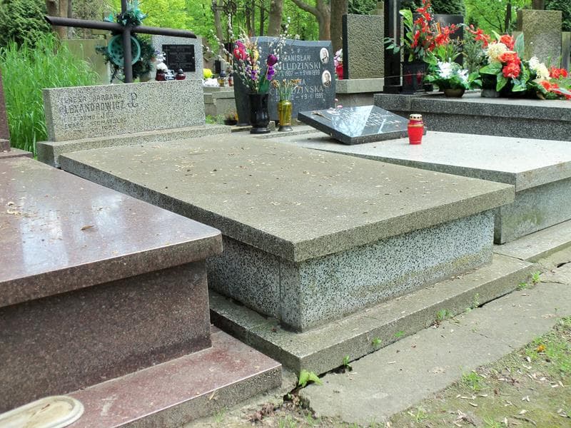 Zdjęcie grobu Teresa Barbara Alexandrowicz (1)