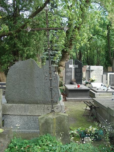 Zdjęcie grobu Zofia Drużna (2)