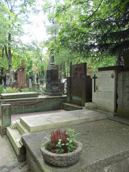 Zdjęcie grobu Longin Czapliński (1)